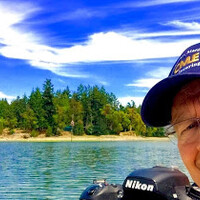 Profile picture for Sam Norman