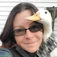 Profile picture for Lisa Halkovics
