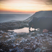 Profile picture for Ivelin Zhelyazkov