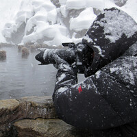 Profile picture for Marsel van Oosten