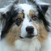 Profile picture for William Kelly