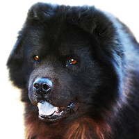 Profile picture for John Wolf