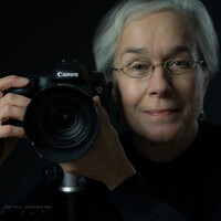 Profile picture for Pat Rose