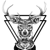 Profile picture for Kai Streets