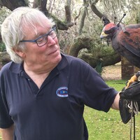 Profile picture for William Hayes