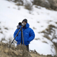 Profile picture for Jose Balta