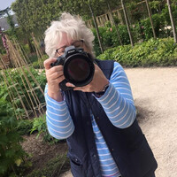 Profile picture for Jane Coltman