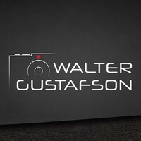 Profile picture for Walter Gustafson