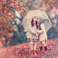 Profile picture for Lilia Alvarado