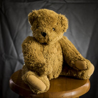 Profile picture for Kurtis Grant