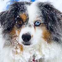 Profile picture for Daniel Novakowski
