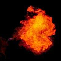 Profile picture for Tristen Woodward
