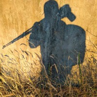 Profile picture for Wesley Perrault