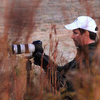 Profile picture for Wade Shanley