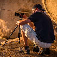 Profile picture for Thorsten Walter