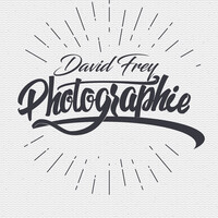 Profile picture for david frey
