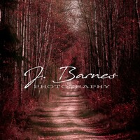 Profile picture for Joe Barnes