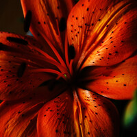 Profile picture for Greg Huebner