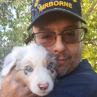 Profile picture for Mark McNeill