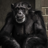 Profile picture for Shannon Kirk