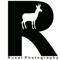 Profile picture for Ruxat Photography