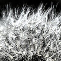 Profile picture for RJ Gauvin