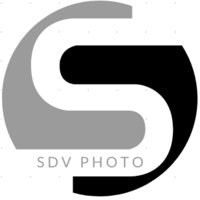 Profile picture for Sal DeVincenzo