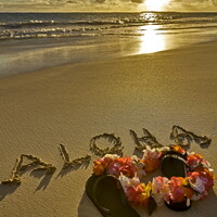 Profile picture for ja images