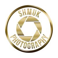 Profile picture for Luke Horsburgh