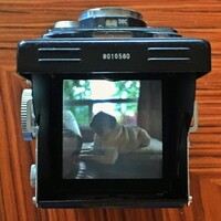 Profile picture for Christopher Scott
