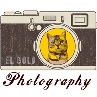 Profile picture for cheehan ng