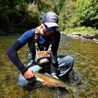 Profile picture for Johannes Niederberger