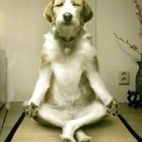 Profile picture for Jeremy Krupinski