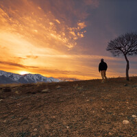 Profile picture for naser derakhshan