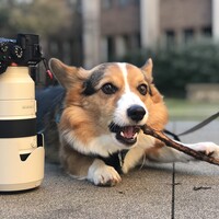 Profile picture for L D