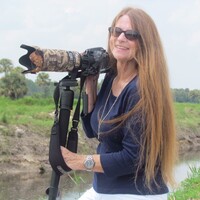 Profile picture for Kat Grant