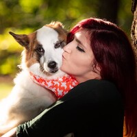 Profile picture for Stephanie Barstow