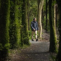 Profile picture for Michael McGee