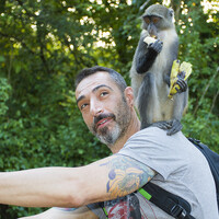 Profile picture for Sebastiano Massimino