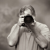 Profile picture for Paul Martin