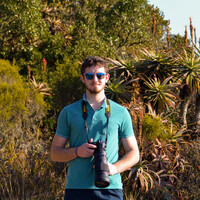 Profile picture for Patrick O'Neill