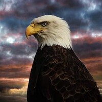 Profile picture for Wesley Nesbitt