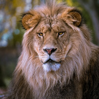 Profile picture for Stephan Poulin