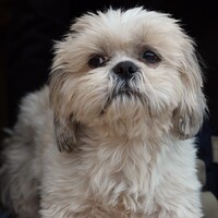 Profile picture for Garrett Rudolph