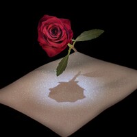 Profile picture for Joseph Martinez