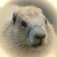 Profile picture for Paul Smith