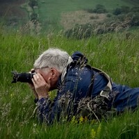 Profile picture for David Van Blarcom