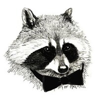 Profile picture for Daniel Blackfield