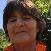 Profile picture for Vicky Stephens