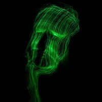Profile picture for Aaron Smith